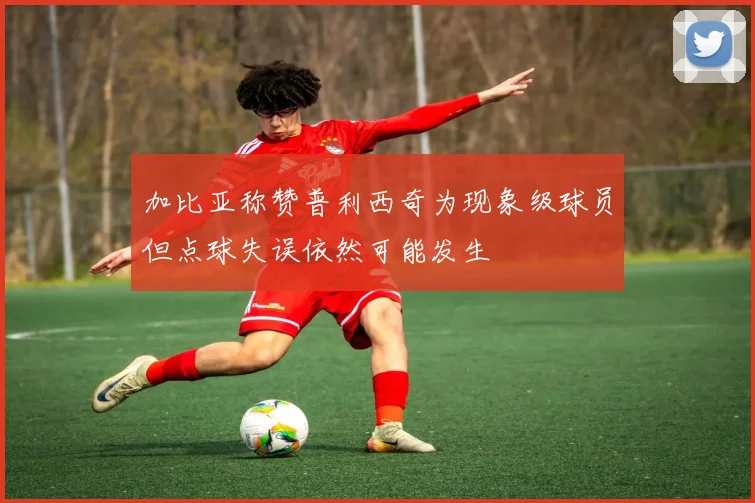 加比亚称赞普利西奇为现象级球员但点球失误依然可能发生