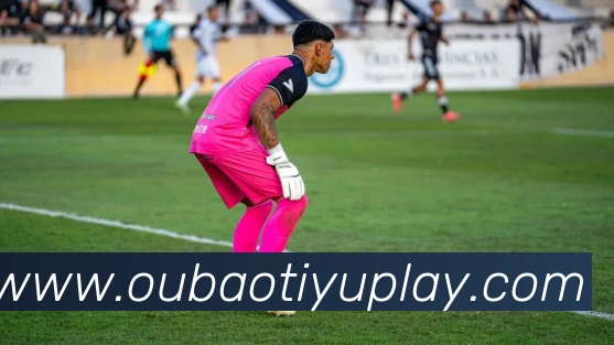 欧宝体育APP 封面图